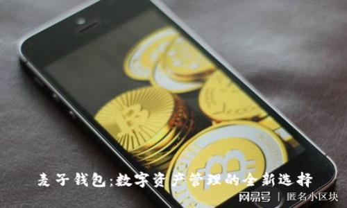 麦子钱包：数字资产管理的全新选择
